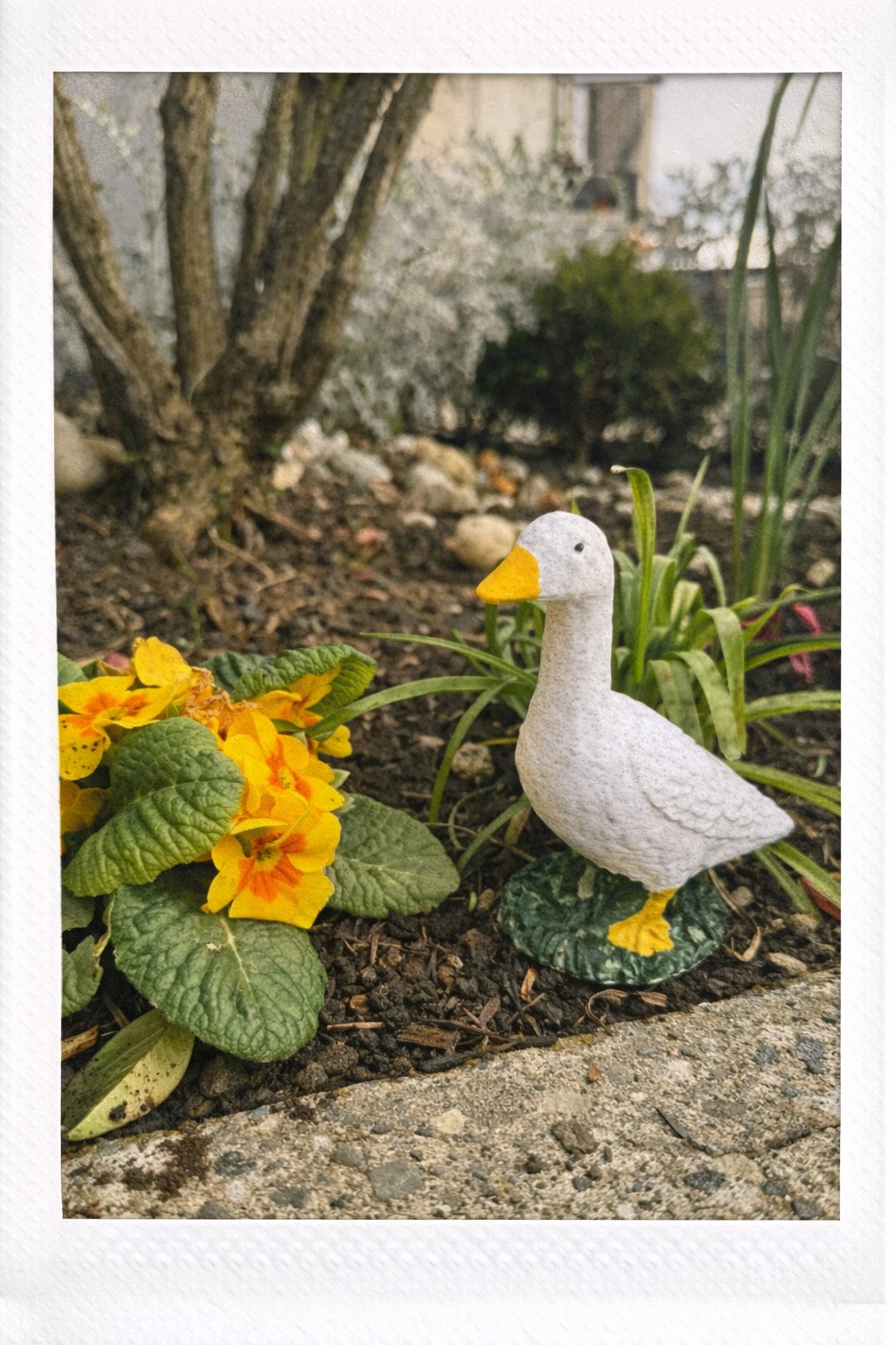 Mini Porch Goose in the garden