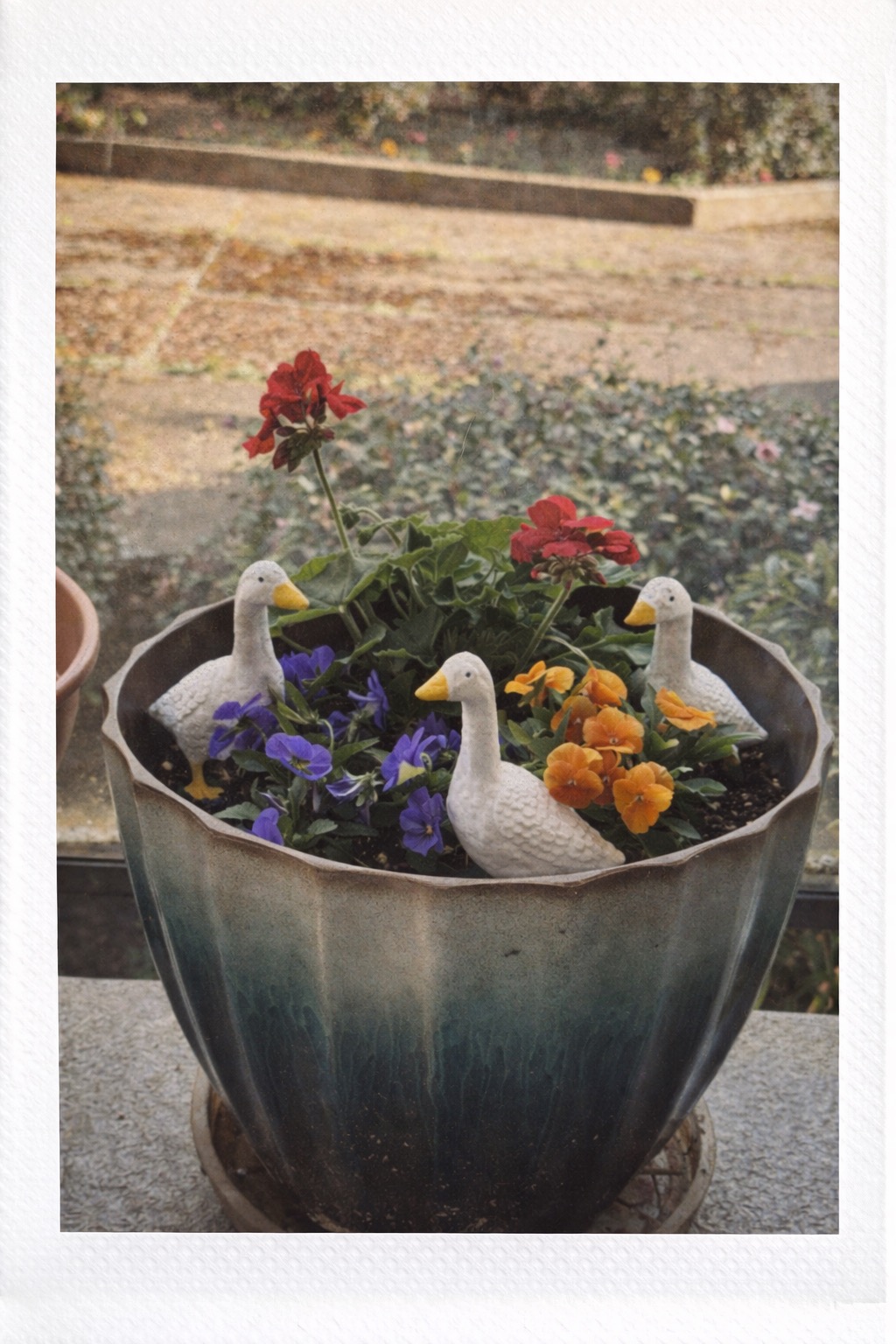 Mini Porch Goose in a planter